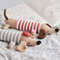 Hotdog The Dachshund Dog Crochet Pattern PDF 1