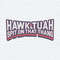 ChampionSVG-Hawk-Tuah-Spit-On-That-Thang-Funny-Quote-SVG.jpg