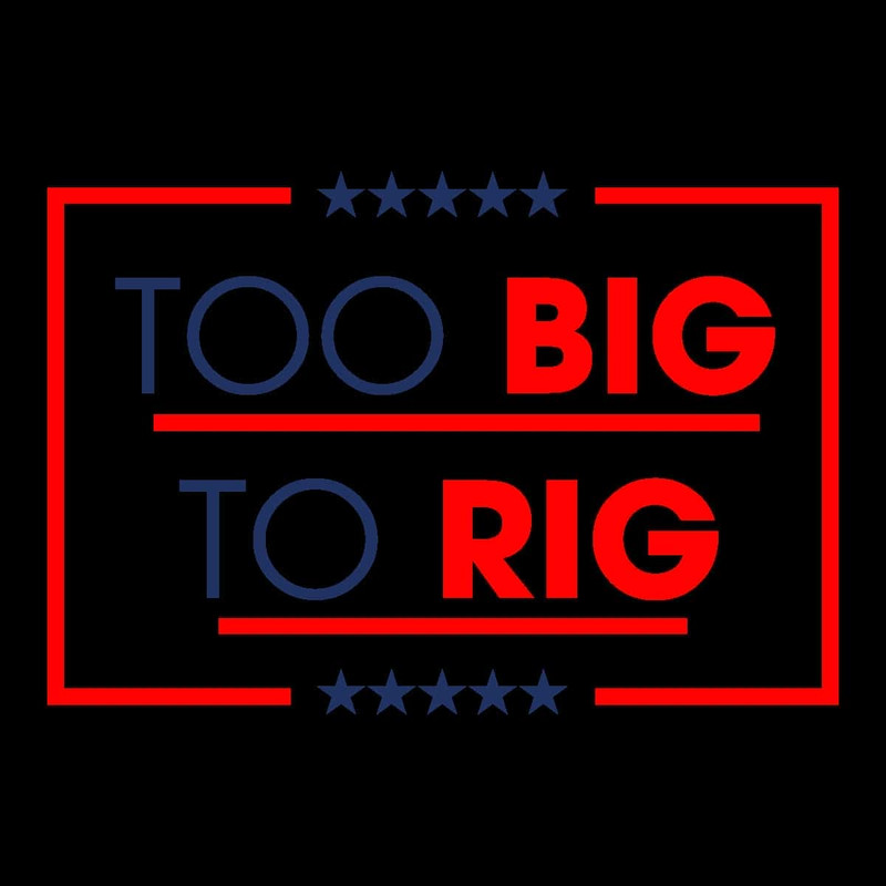 Too Big To Rig Saying Trump 2024 Funny Quote SVG.jpg