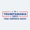 ChampionSVG-Trumpmania-2024-Take-America-Back-Svg.jpg