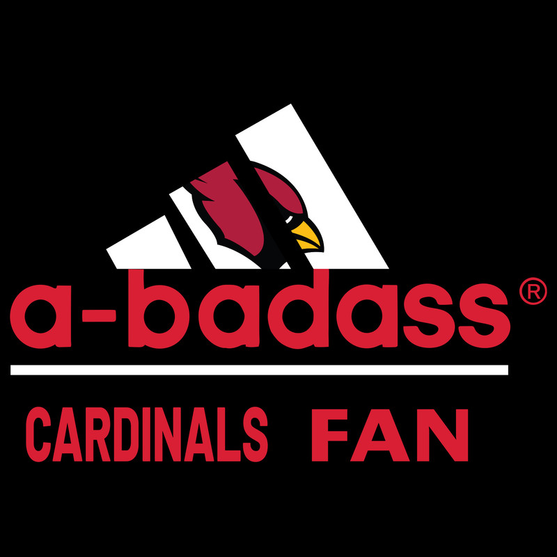 Arizona-Cardinals-2024.jpg
