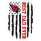 Arizona-Cardinals-2024.jpg