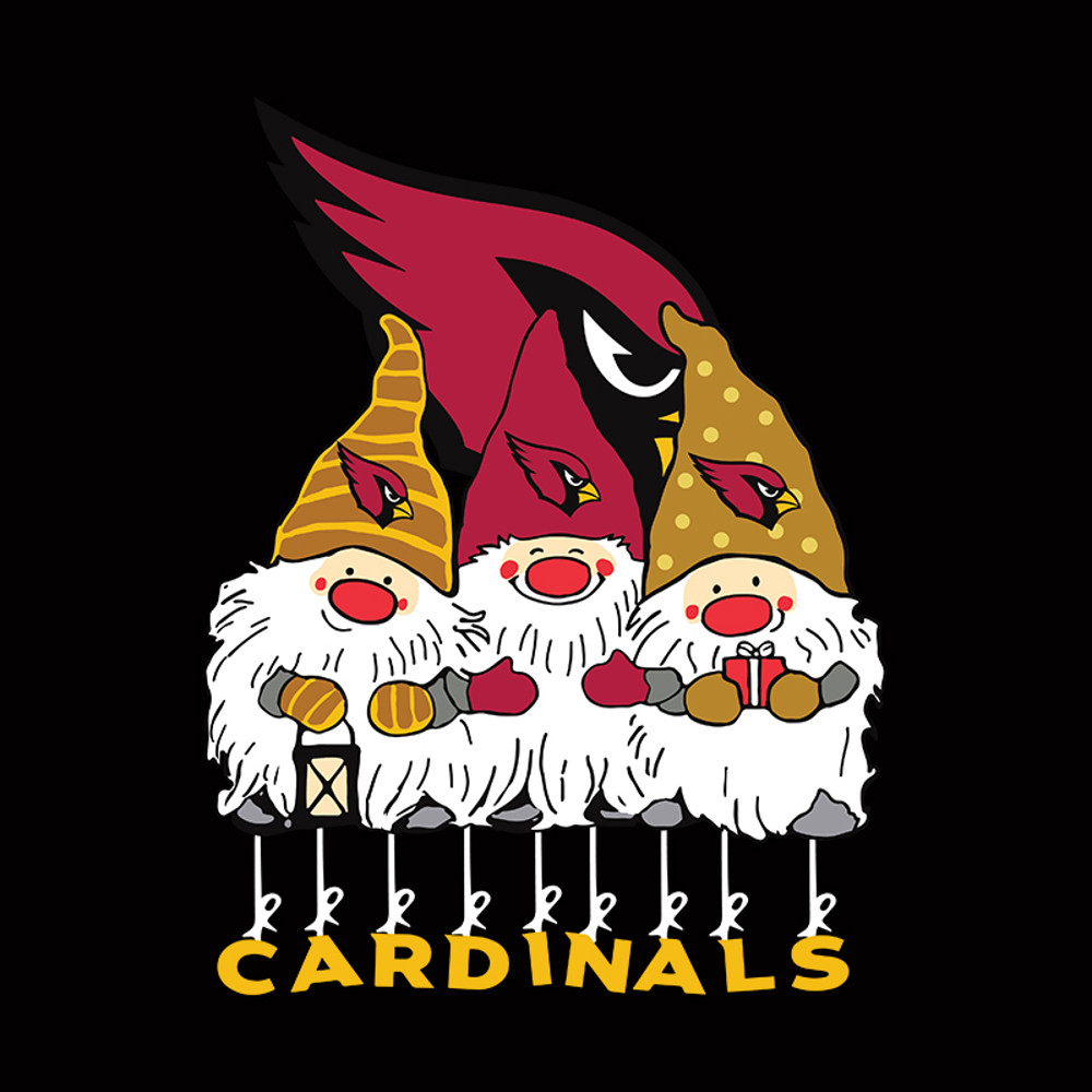 Arizona-Cardinals-2024.jpg