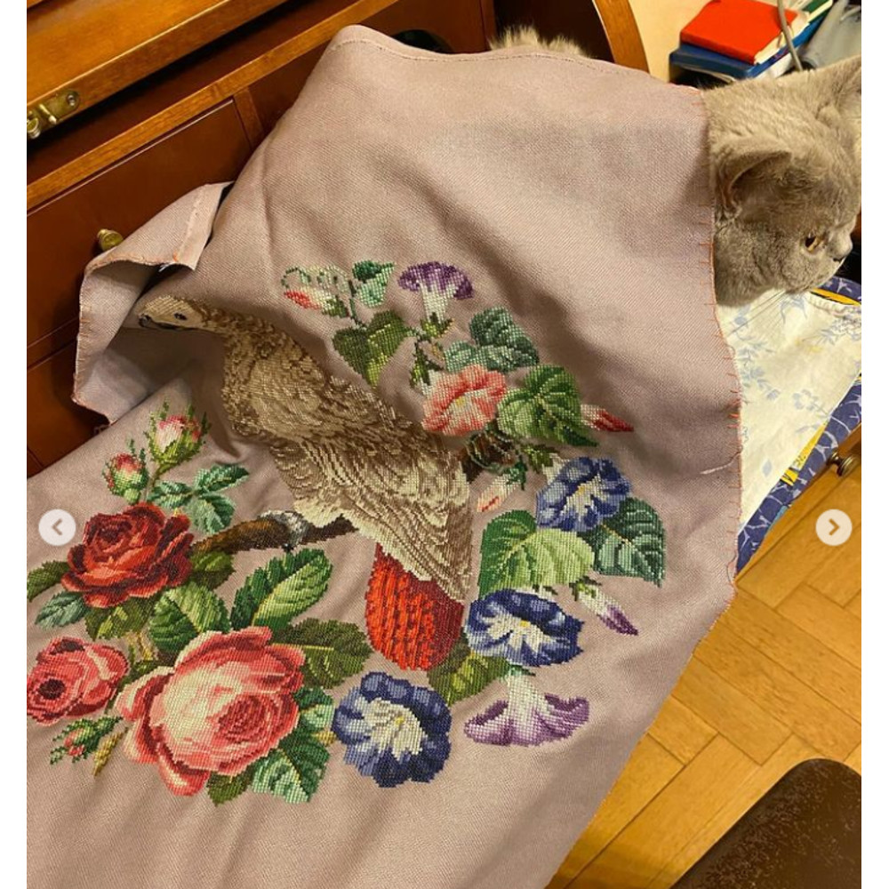 Снимок экрана (208).png