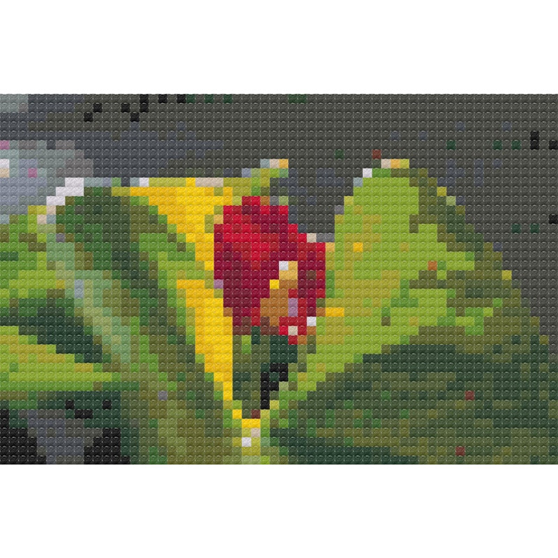 Tropical flowers1.jpg