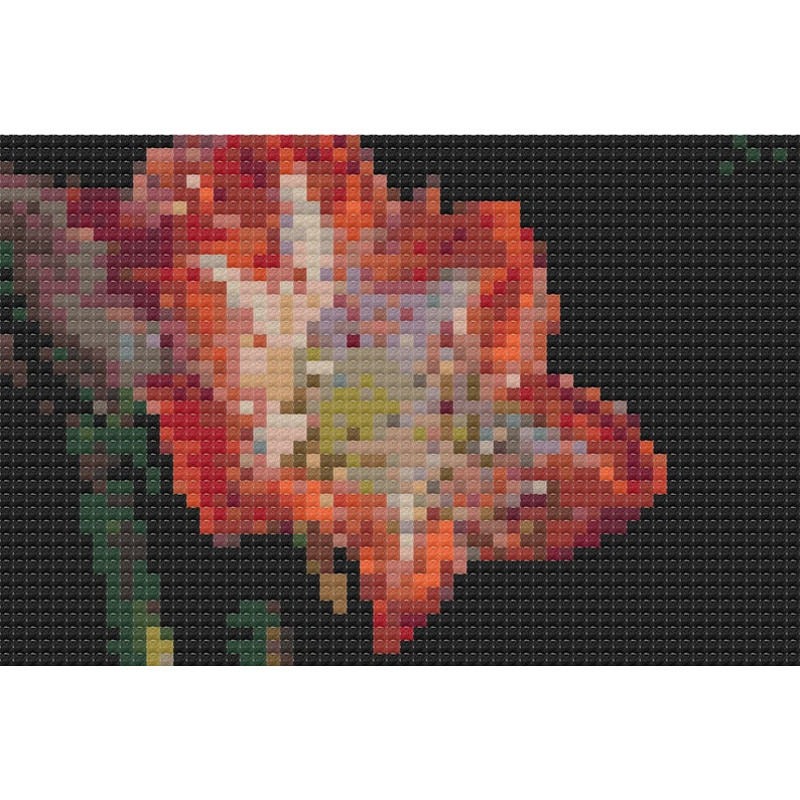 Tropical flowers 2.jpg