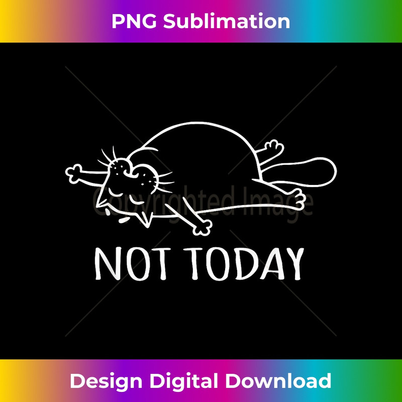 Not Today Lazy Cat 0371.jpg