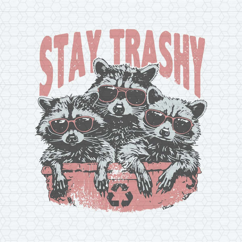 Funny Stay Trashy Raccoon Squad SVG.jpg