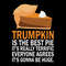 Funny Trump Pumpkin Pie Thanksgiving Fall Happy Thanksgiving Turkey SVG Files.jpg