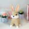 Crochet Pattern-bunny-Crochet-PATTERN-plush-toy-Amigurumi-stuff-toys-tutorial-Amigurumi-pattern-rabbit-2.jpg