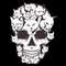 tb030322024-cat-skull-svg-skull-svg-cat-svg-kitten-svg-horror-svg-halloween-svg-tb030322024jpg.jpg