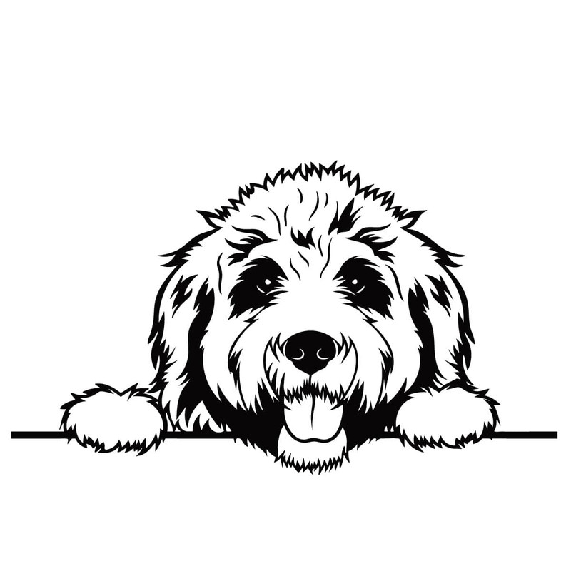 tb120122006-peeking-goldendoodle-svg-trending-svg-paws-dog-svg-pedigree-dog-svg-fluffy-svg-tb120122006jpg.jpg