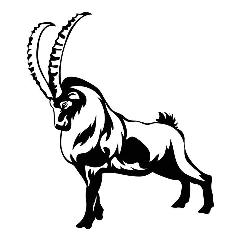 tb260422006-goat-full-4-body-animal-farm-horns-ram-billy-sheep-design-element-tb260422006jpg.jpg