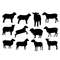 tb311221012-sheep-bundle-svg-animal-svg-sheep-svg-wild-svg-jumping-sheep-svg-cute-sheep-svg-tb311221012jpg.jpg