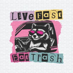 Live Fast Eat Trash Funny Trash Panda SVG