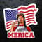 Retro Patriotic Joe Dirt Merica US Flag PNG.jpg