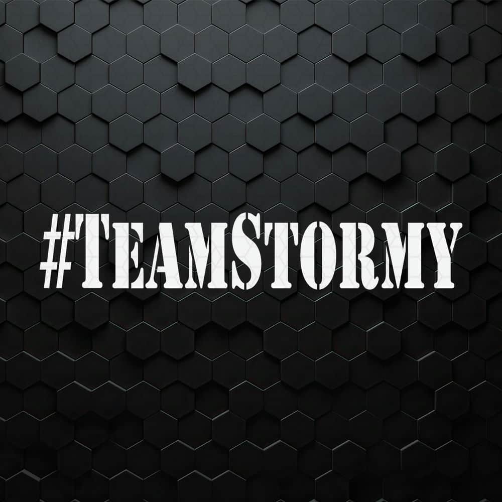 WikiSVG-1005241077-team-stormy-trump-witnesses-svg-1005241077png.jpeg