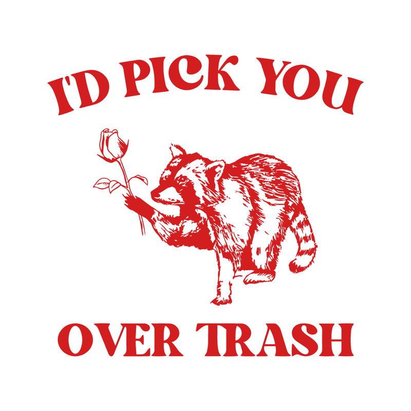 1501241058-raccoon-id-pick-you-over-trash-svg-1501241058png.png