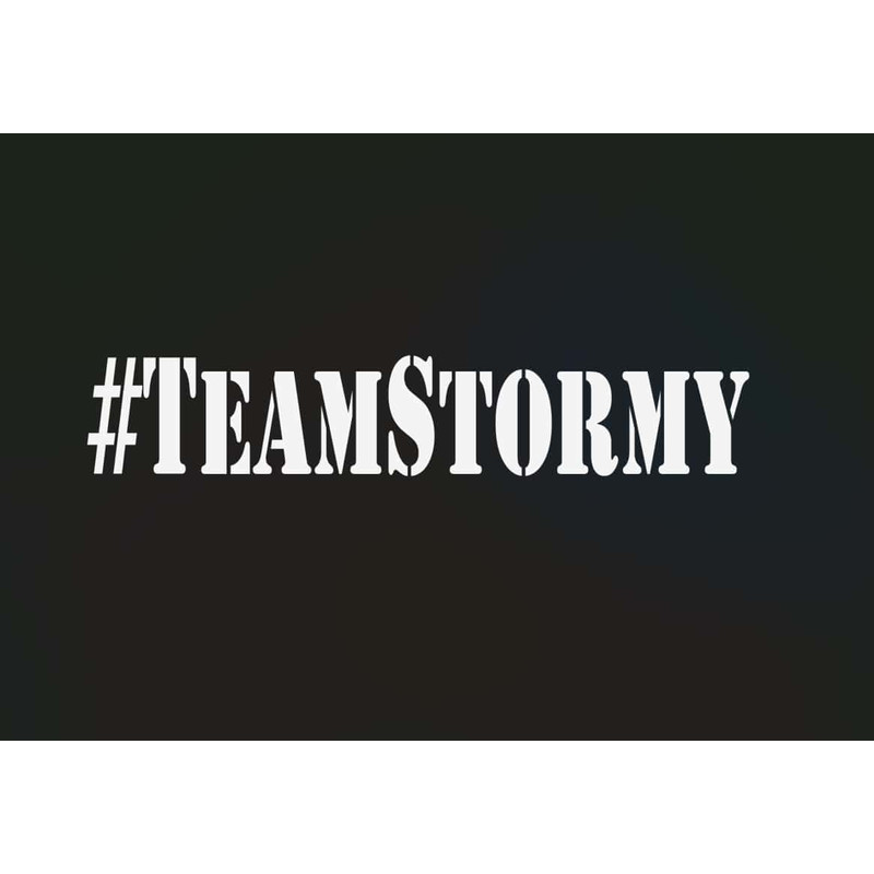 Team Stormy Trump Witnesses SVG Pro Trump SVG Trump Desantis 2024 SVG.jpg