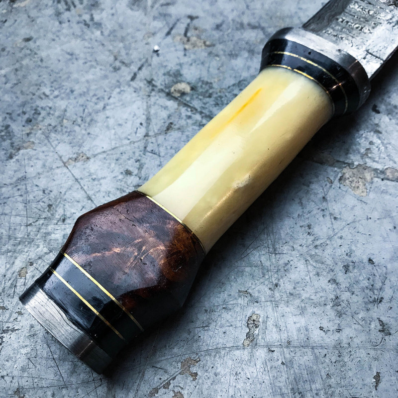 DCIM 8786453 (3).jpg