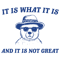 0901241022-it-is-what-it-is-and-it-is-not-great-meme-svg-0901241022png.png