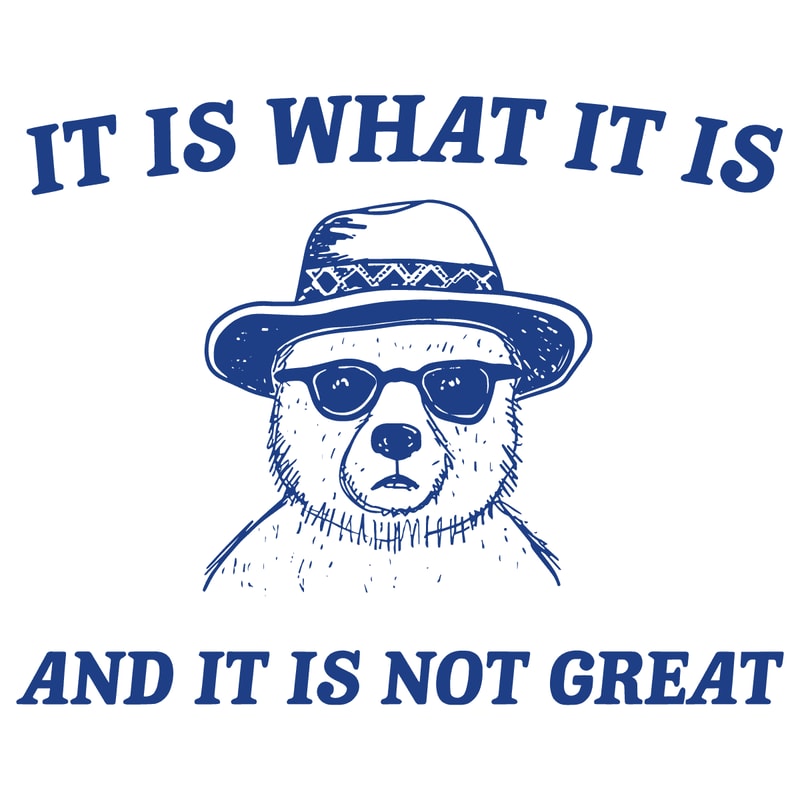 0901241022-it-is-what-it-is-and-it-is-not-great-meme-svg-0901241022png.png