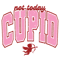 2201241035-funny-not-today-cupid-valentine-svg-2201241035png.png