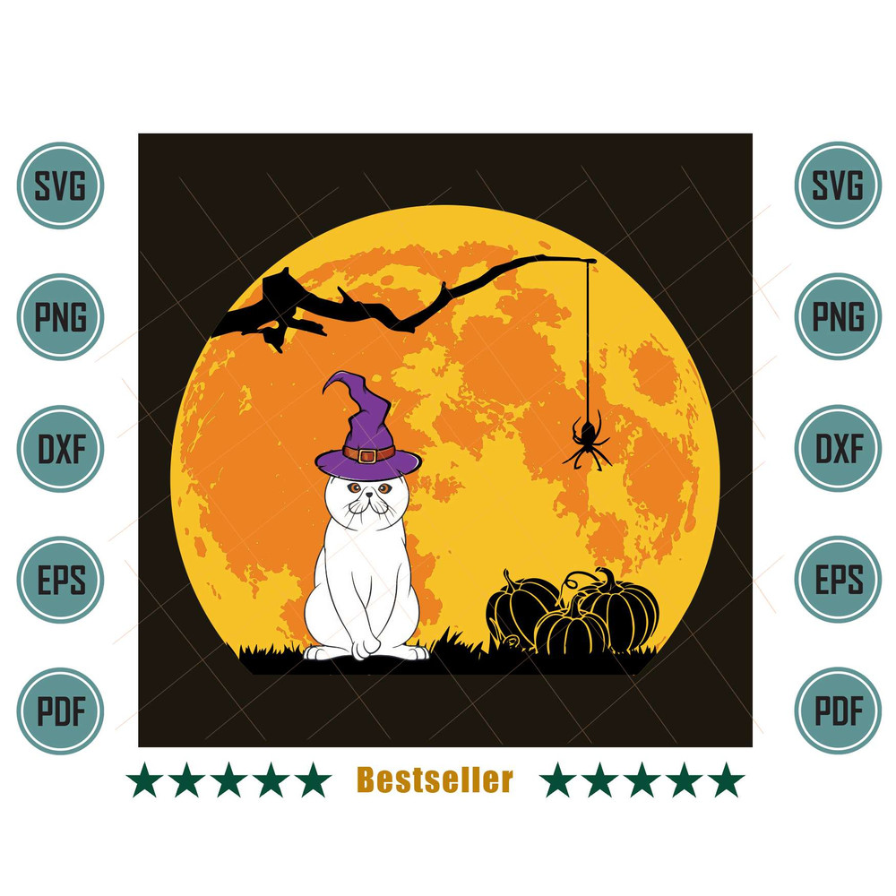 Halloween-Exotic-Shorthair-Cat-Witch-Blood-Moon-Svg-HLD110821HT86.jpg