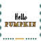 Halloween-Fall-Autumn-Leopard-Pumpkin-Svg-HLD090821HT64.jpg