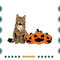 Halloween-Maine-Coon-Cat-Pumpkin-Svg-HLD110821HT97.jpg