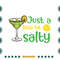 Just-A-Little-Bit-Salty-Funny-Beach-Margarita-Svg-TD290621HT19.jpg
