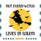Not-Every-Witch-Lives-In-Salem-Halloween-Sarcasm-Svg-HLD220721HT90.jpg