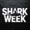 WikiSVG-Shark-Week-Shark-Beach-Summer-Save-The-Sharks-Gift-SVG.jpg