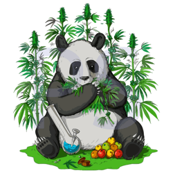 panda bear weed, weed hippie, trending svg, funny weed apparel, smoke weed, pot smoker svg, ganja svg, cannabis svg, mar