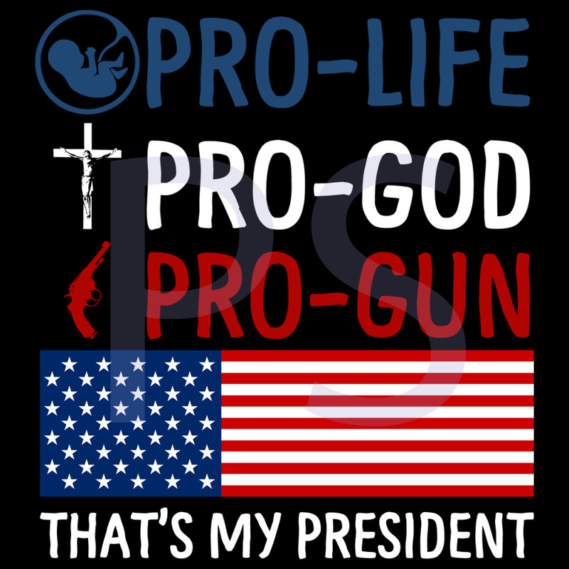 Pro-Life-Pro-God-Pro-Gun-Trending-Svg-TD0031.png