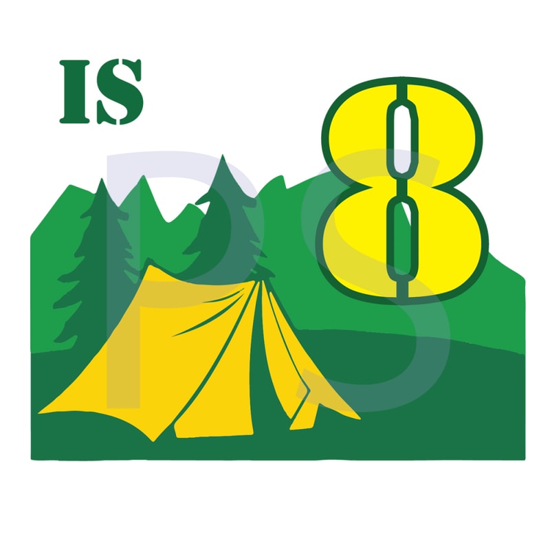Kids-8th-Birthday-Boys-Camping-Summer-8-Year-Old-Svg-BD210429LT70.jpg