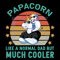 Unicorn-Papacorn-Like-A-Normal-Dad-But-Much-Cooler-Svg-FD210417QQ19.jpg