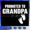 Promoted-To-Grandpa-Est-2019-Svg-FD08082020.jpg