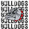 Bulldogs Distressed Mascot Sublimation Design PNG File, School Spirit Digital Download.jpg