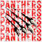 Panthers Claw Distressed Mascot Design PNG, Digital Download 1.jpg