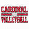 Vintage Cardinal Volleyball Mascot Design PNG & JPG, Digital Download, Sublimation File.jpg