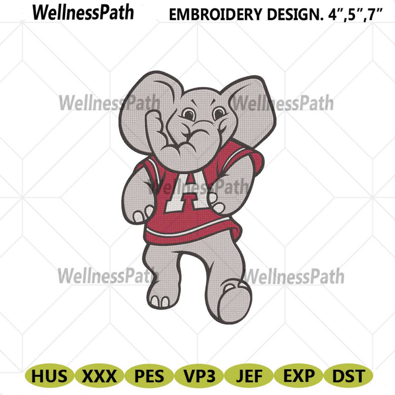 MR-wellness-path-em09042024ncaa12-6720248420.jpeg
