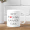 Funny Lawyer Gift, Lawyer Gift, Gift for Lawyer, Lawyer Mug, Best Fucking Lawyer Ever, Funny Mug, Gift Ideas for Lawyer.jpg