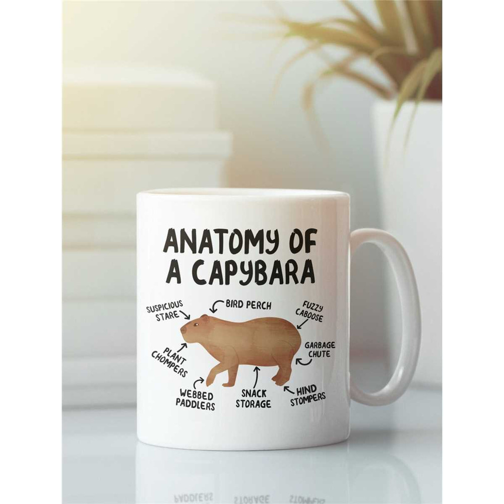 Anatomy of a Capybara, Capybara Mug, Funny Capybara Gifts, Capybara Lover Coffee Cup, Cute Cartoon Sarcastic Capybara Pr.jpg