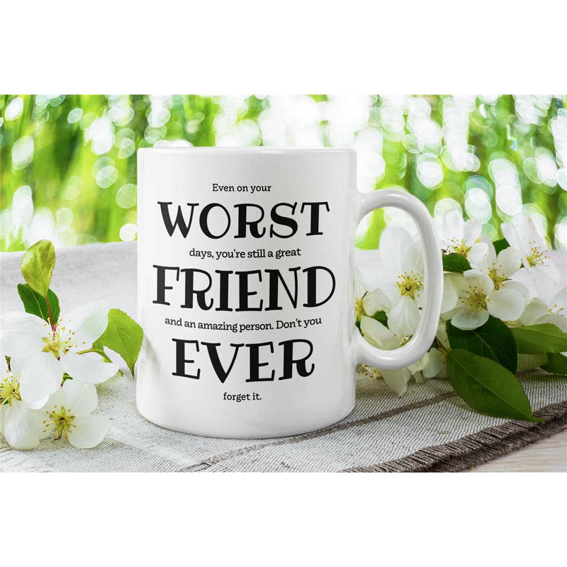 Best Friend Gifts, Friend Cup, Funny Friend Mug, Worst Friend Ever, Best Friend Ever, Worst Best Friend, Rude Friend Gif.jpg