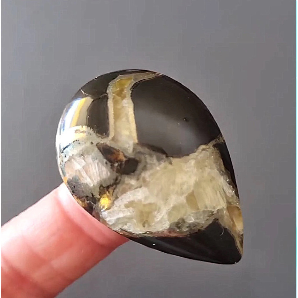 Rare High Quality Simbirciteammonite With Silver Pyrite Natural Stone Cabochon 41 X 28 X 7 Mm  Cabo 0