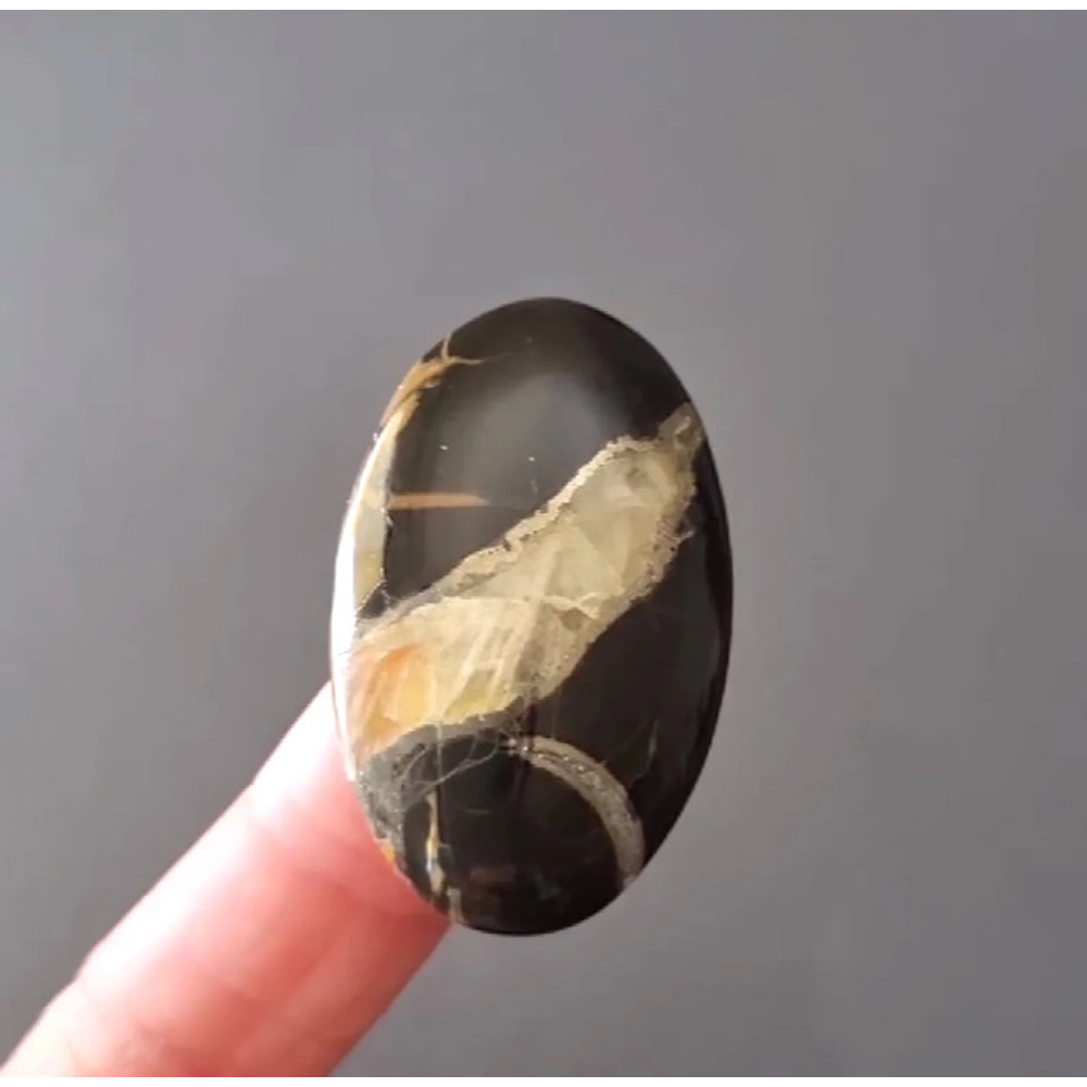 Rare High Quality Simbirciteammonite With Silver Pyrite Natural Stone Cabochon 41 X 25 X 7 Mm  Cabo 0