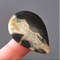 Rare High Quality Simbirciteammonite With Silver Pyrite Natural Stone Cabochon 42 X 29 X 7 Mm  Cabo 0