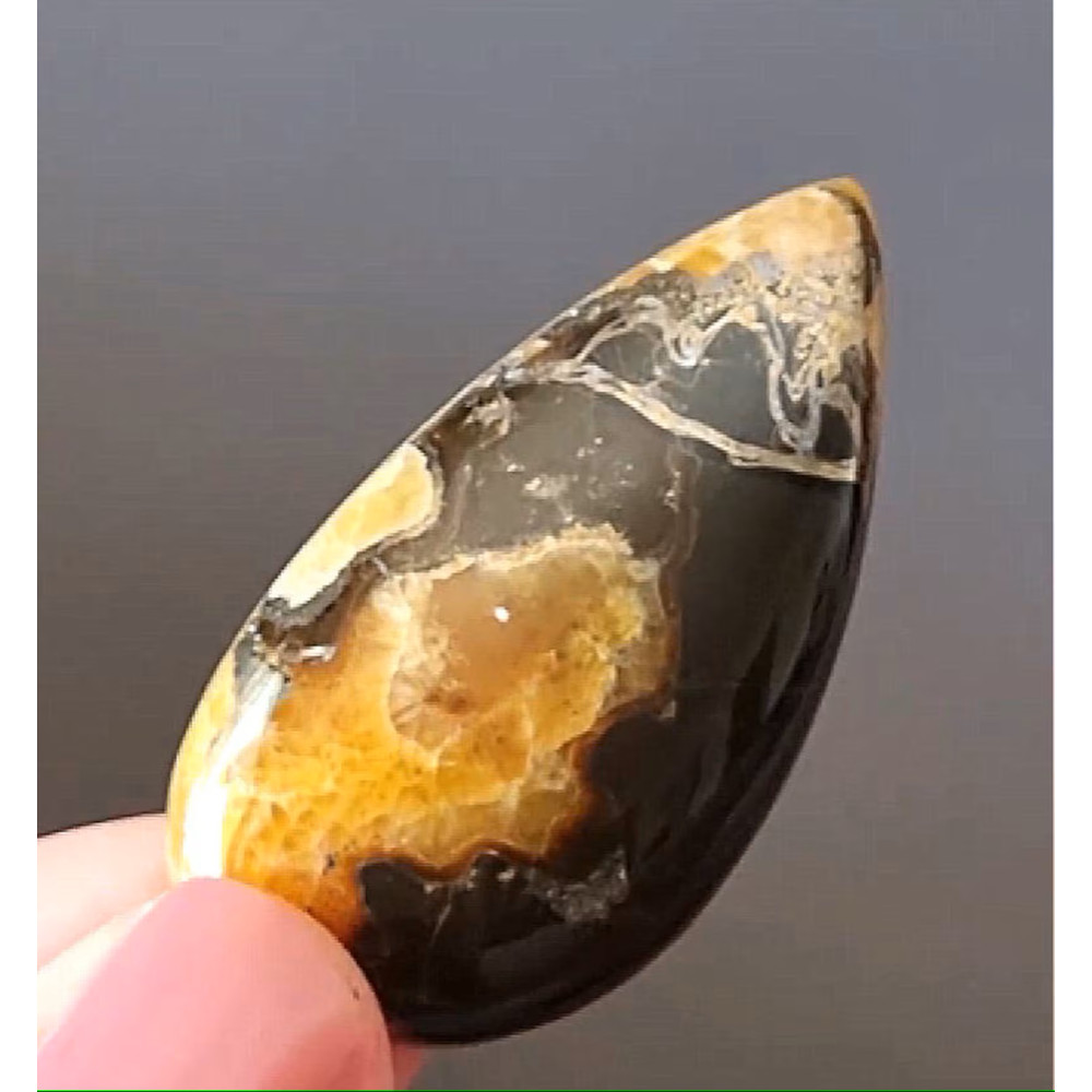 Rare High Quality Simbirciteammonite With Silver Pyrite Natural Stone Cabochon 42 X 22 X 6 Mm  Cabo 0