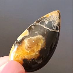rare high quality simbircite-ammonite with silver pyrite natural stone cabochon 42 x 22 x 6 mm , cabochon for jewelry,